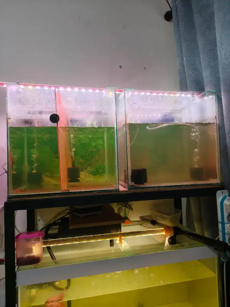 tank 40x40x40 2 unit