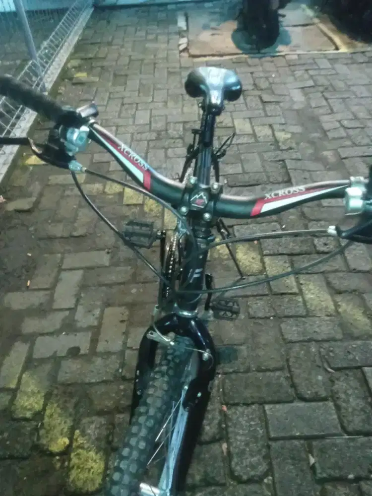 Vintage federal torino