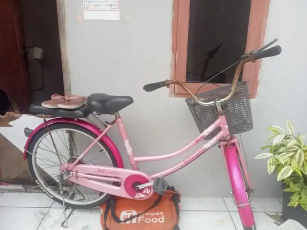 Sepeda dewasa atlantis