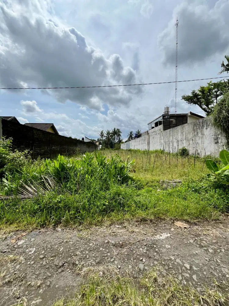 Dijual Tanah View Sawah di Bulus Candibinangun dekat Jalan Palagan