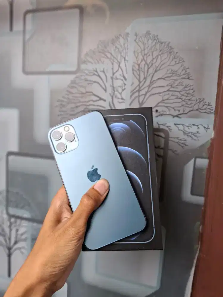 Iphone 12 Pro 128 Beacukai