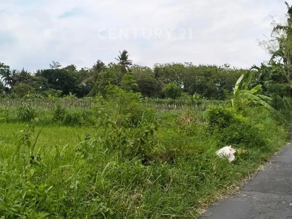 Tanah 2746m2 Di Sleman Utara Cocok Untuk Villa