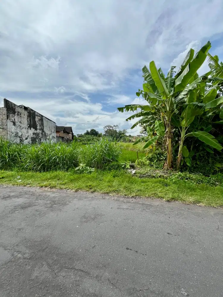 Dijual Tanah Pekarangan view Sawah di Timur Pasar Gentan Jalan Kaliura