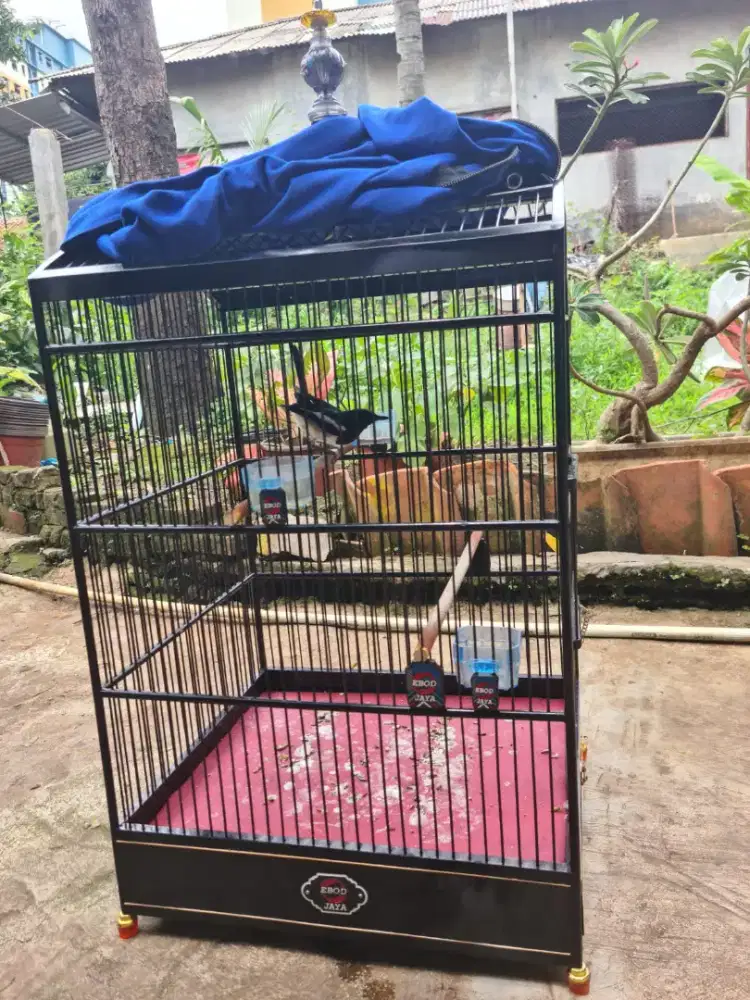 Mahar aja Kacer Nego bensin