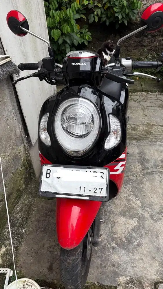 HONDA SCOOPY 2022