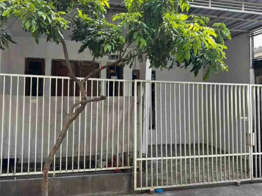 ‼️JUAL CEPAT‼️RUMAH DI JALAN KETAPANG DEKAT WAGE ALOHA