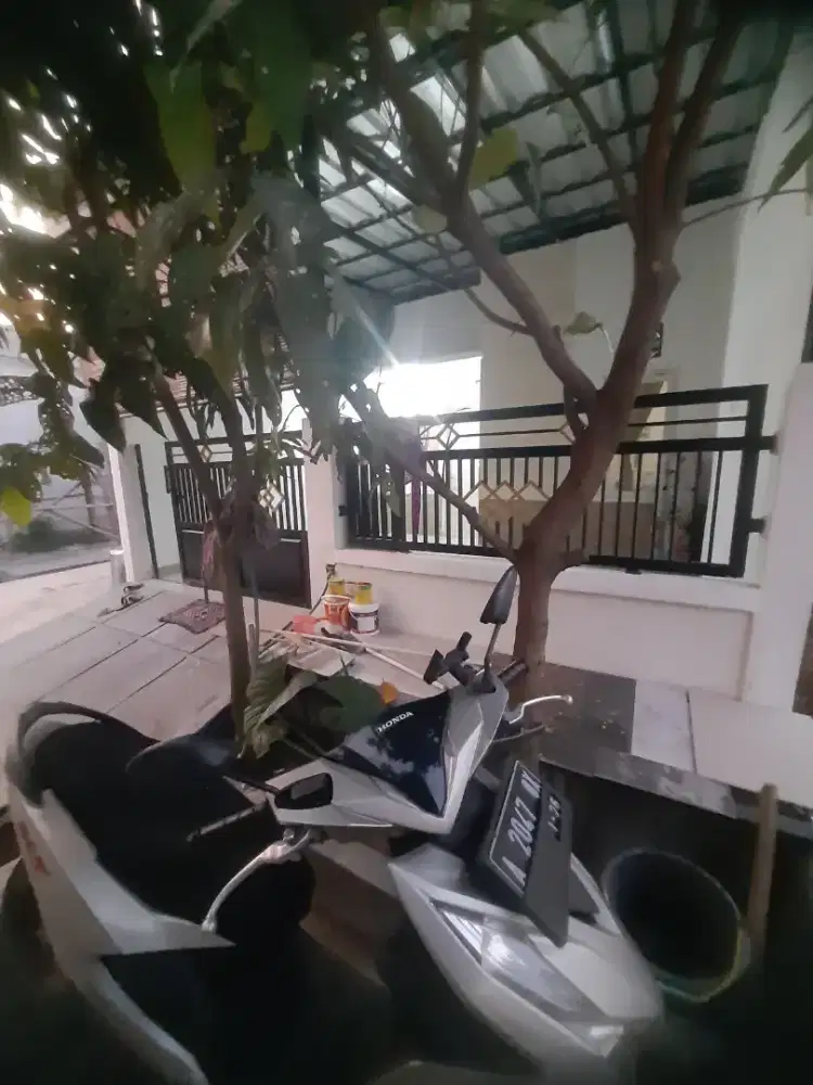 Beat delux 2020 tt/mahar