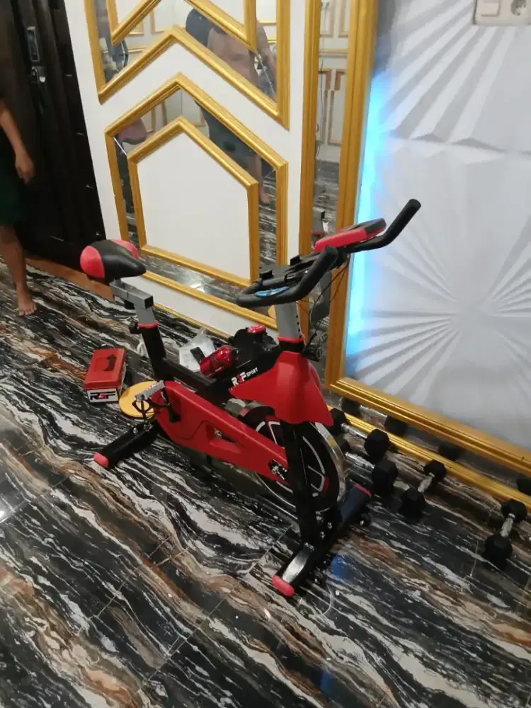 RGF - SPINNING 41 SB