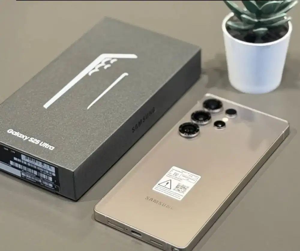 Samsung Galaxy S25 Ultra 12/1TB sein