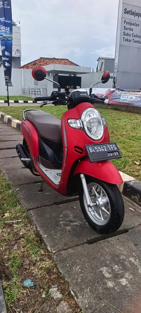 Honda scoopy donut 2020