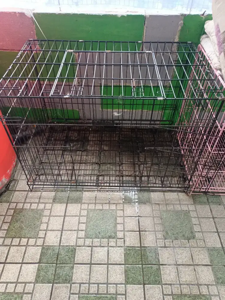 KANDANG KUCING/ANJING BEKAS