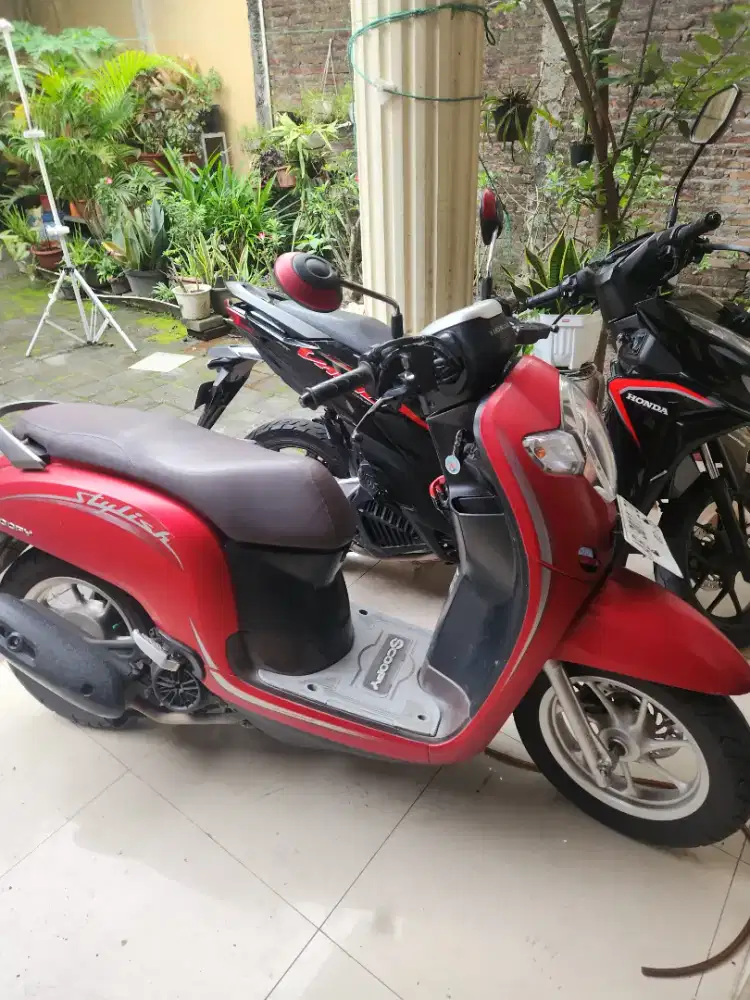 Scoopy merah doff 2020 stylis Gbm