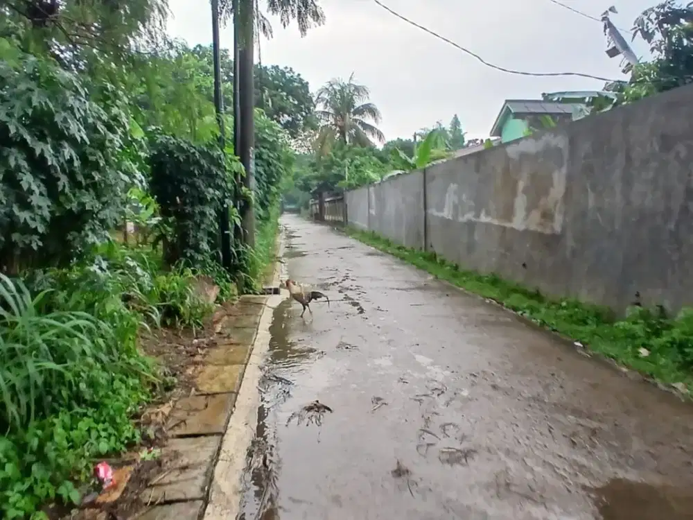 Tanah Sawangan 2Jtan/m - SHM - Cocok Untuk Investasi/Hunian