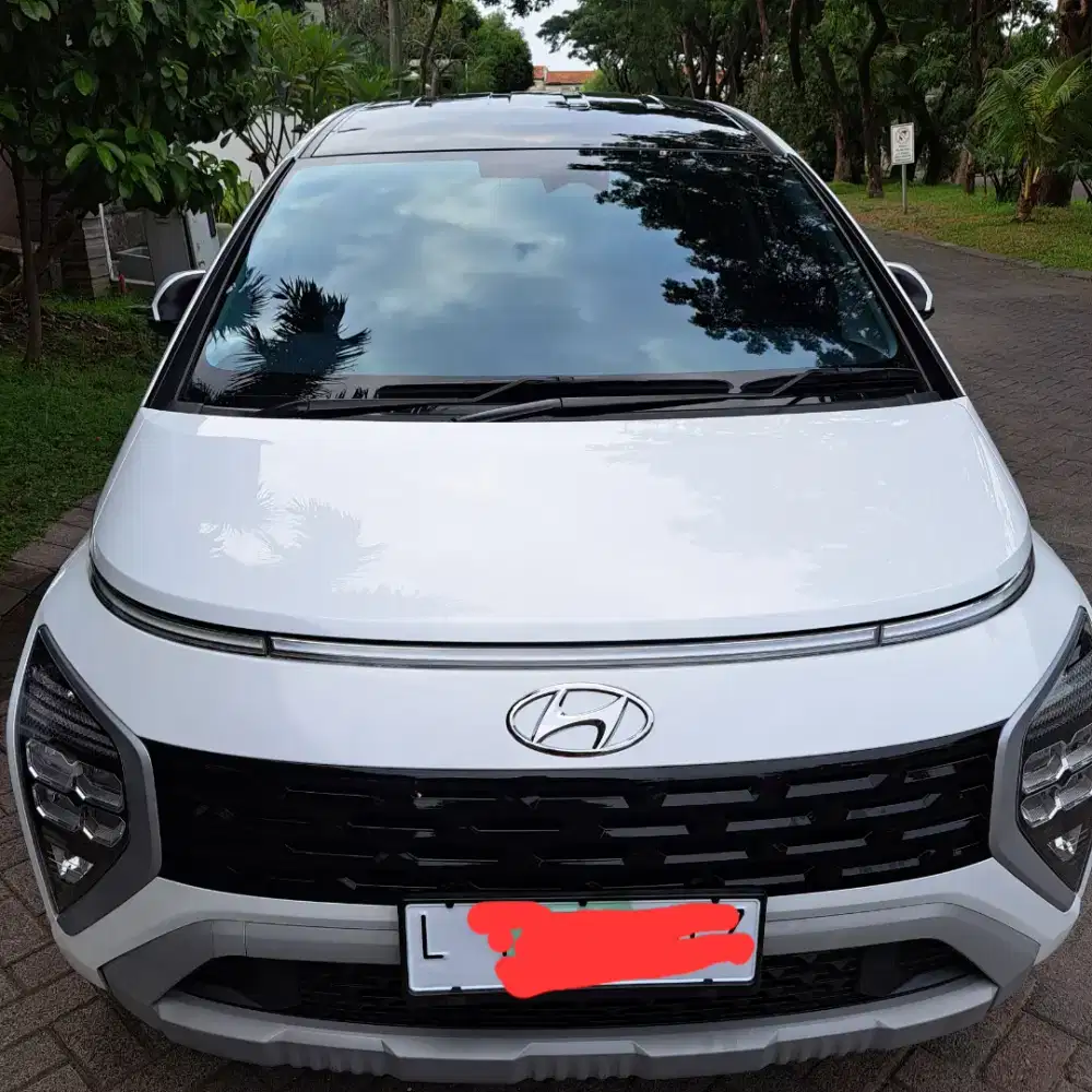 Stargazer  Prime 2023