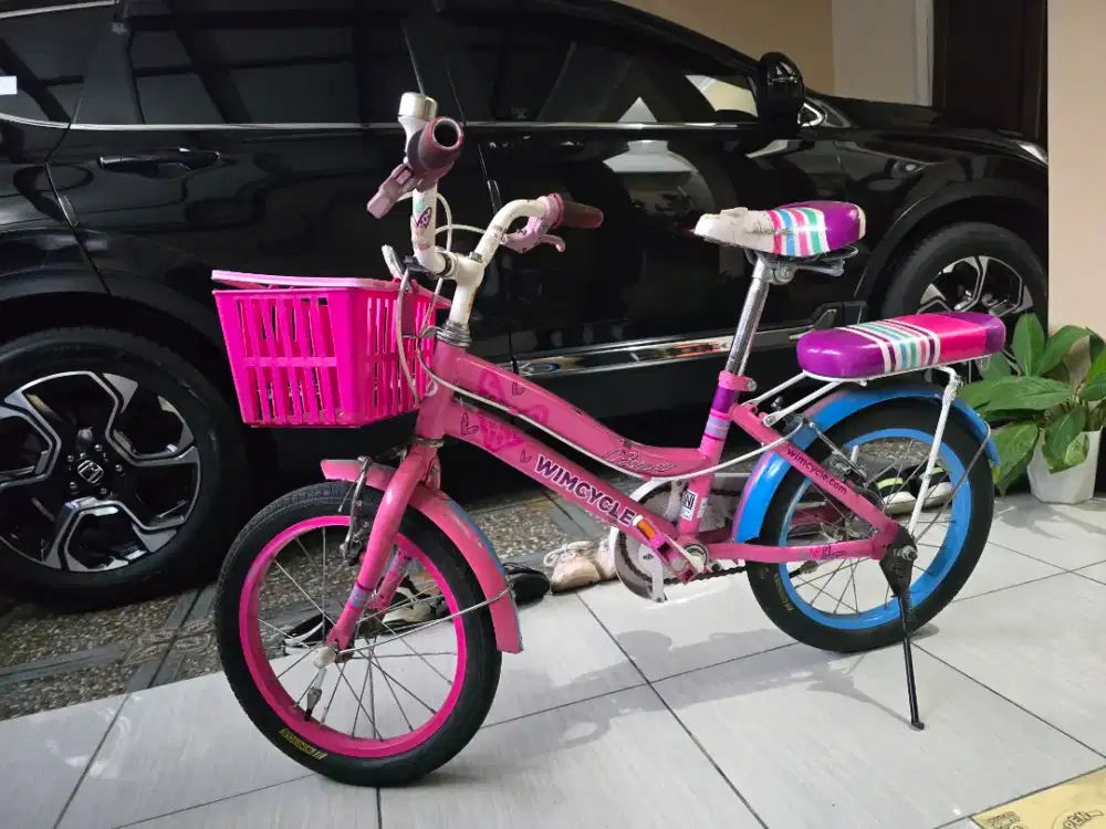 Wimcycle clara 16 pink