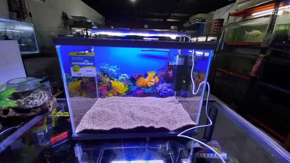 Aquarium Akrilik Fullset 31cm