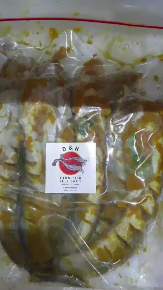 Lele Konsumsi Siap Goreng Reminasi