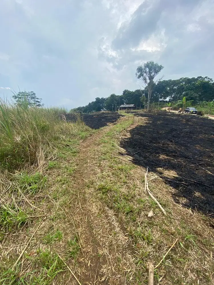 Oper alih atau di sewakan