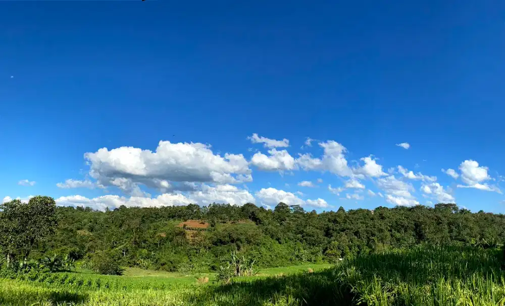 DIJUAL CEPAT TANAH DAN KEBUN