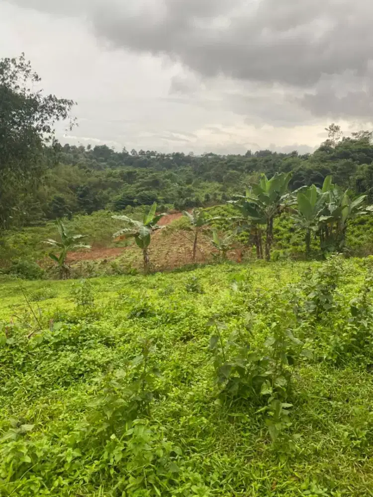 Disewakan tanah 1 hektar strategis