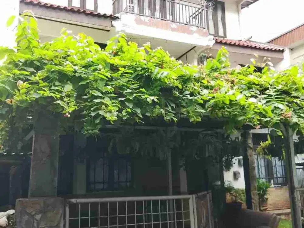 Rumah Bagus Jual Cepat Dan Murah Di Pulo Mas , Bebas Banjir