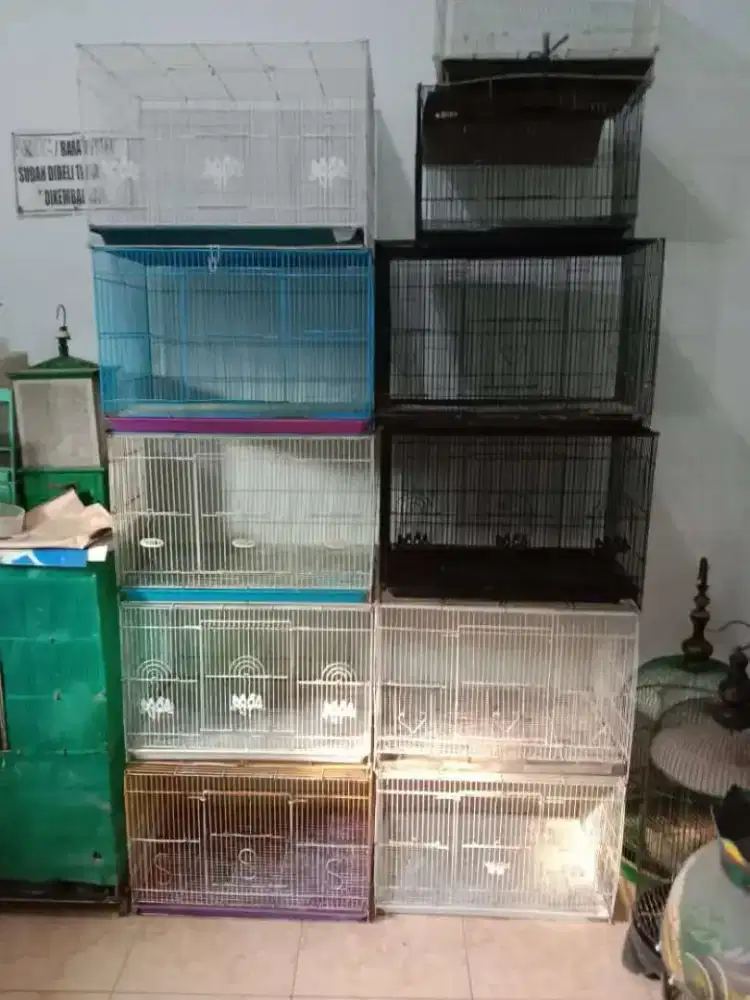 Kandang kucing. Anjing atau kelinci