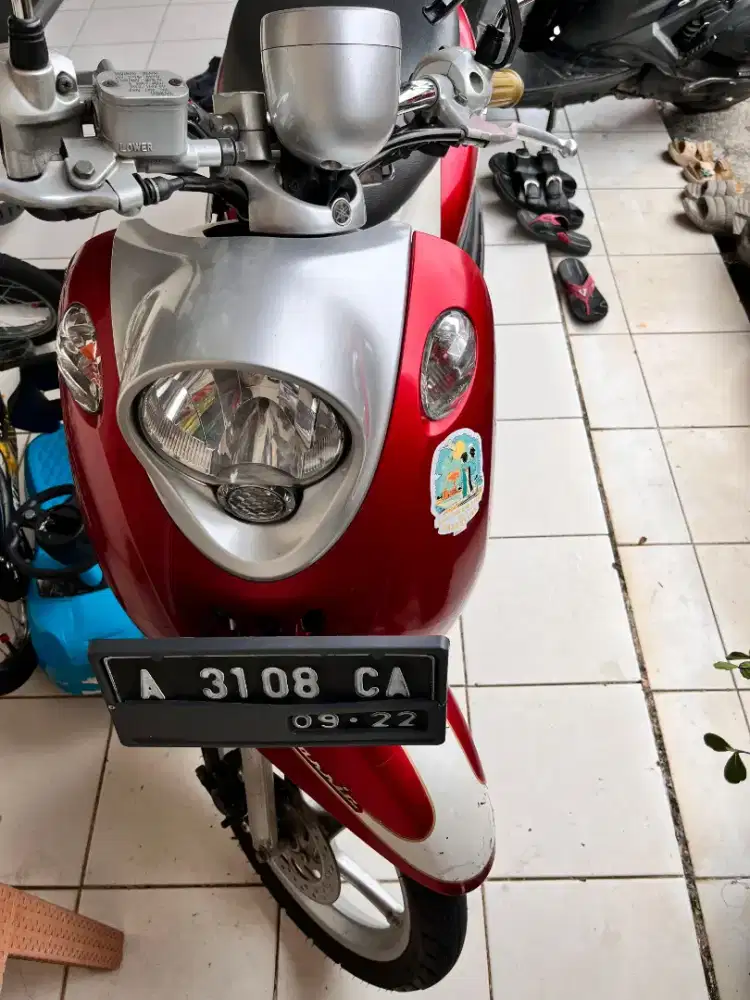 Fino Karbu 2012 limited edition