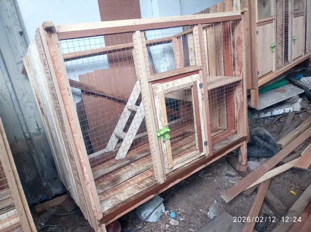 Kandang kucing bertangga