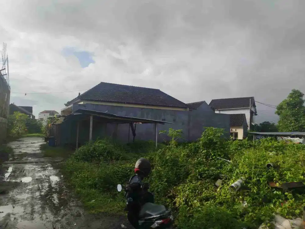 Jual Cepat Harga Global Tanah 1.5are Lokasi Jl. Cemara Giri Dalung area Pemukiman Strategis