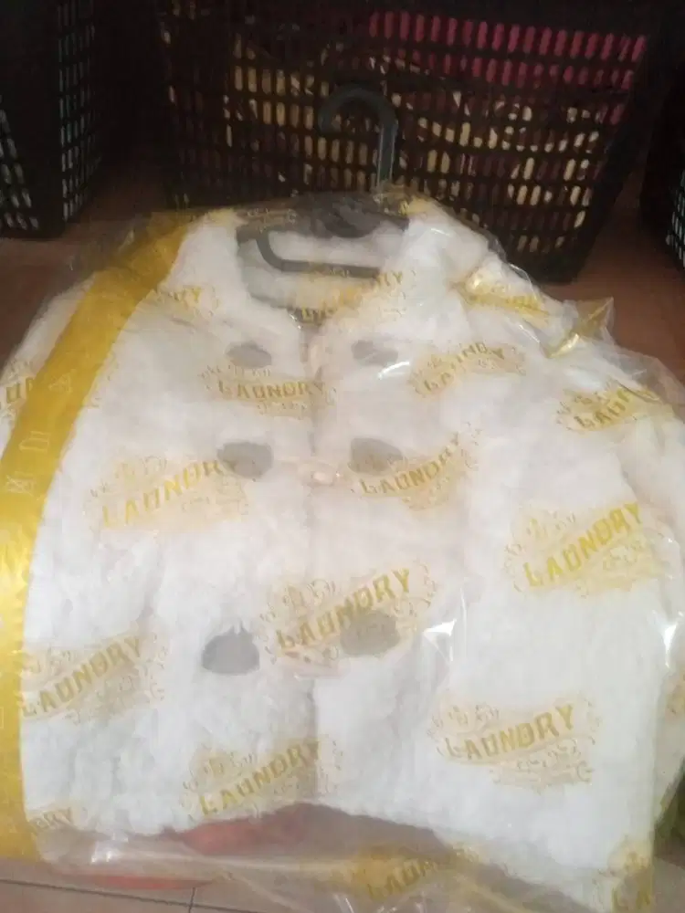 2 Karyawan wanita cuci setrika Serta Kurir