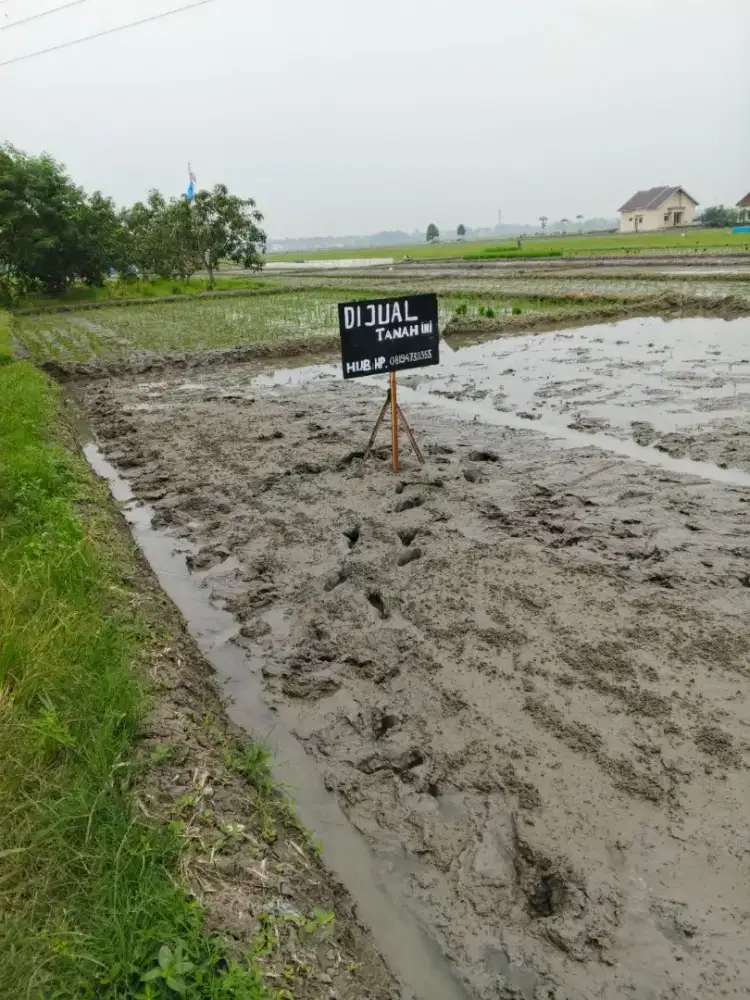 Jual Tanah Sawah