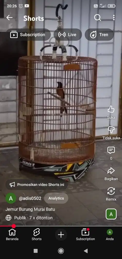 Jual murai batu medan fullset