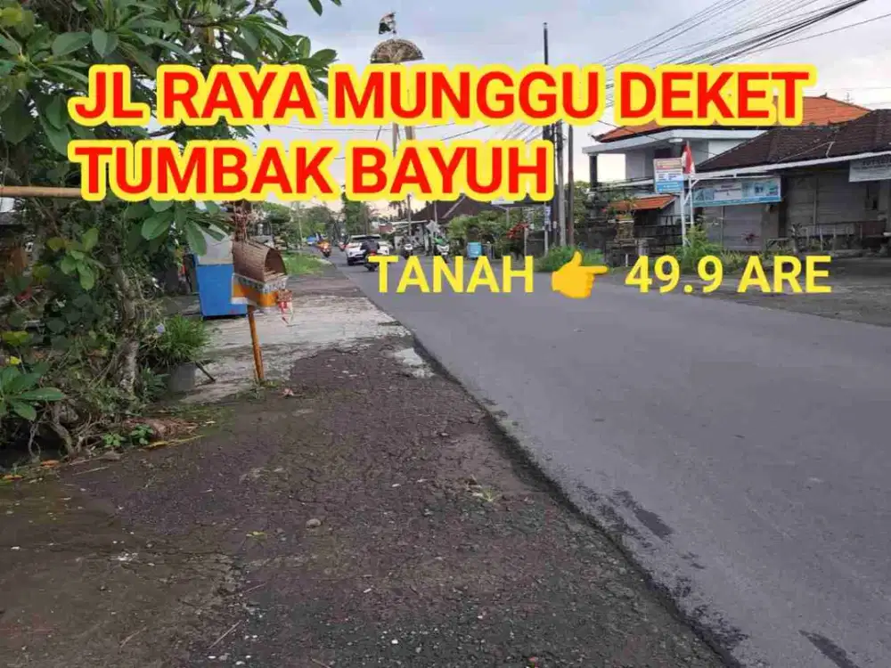 jl utama munggu!! 49.9 are tanah deket tumbak bayuh