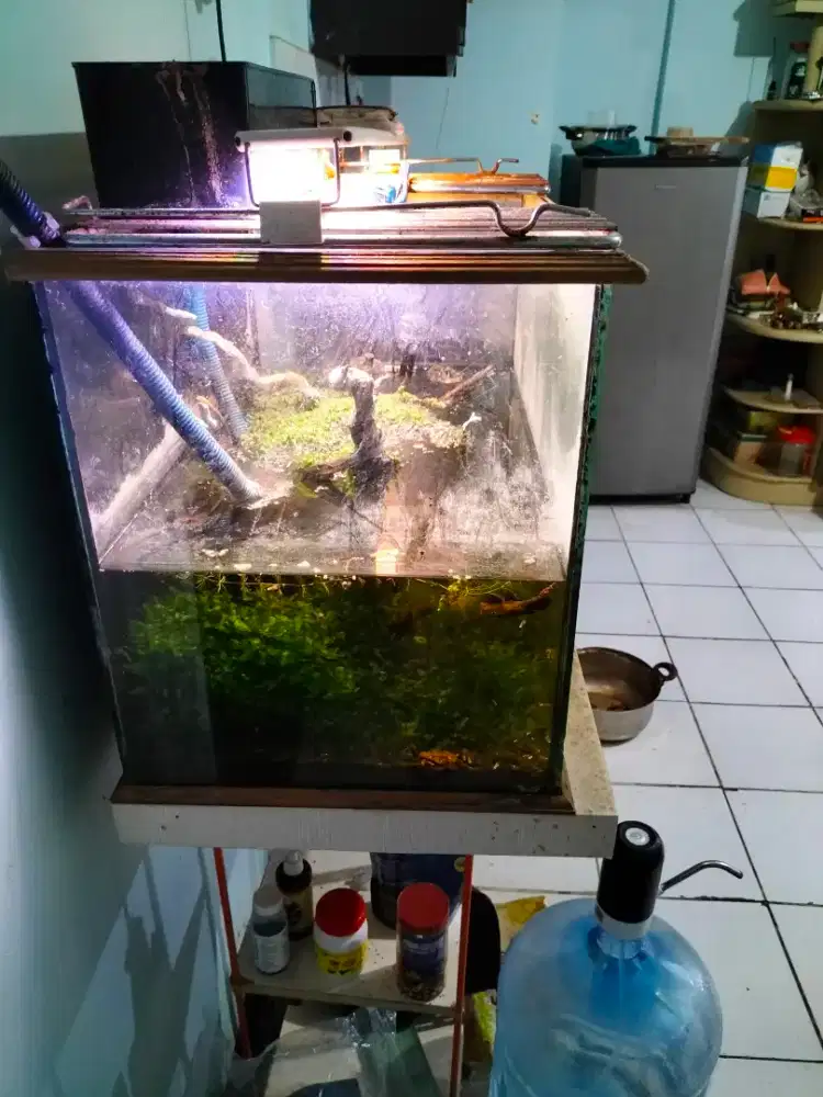 Jual Aquarium Murah Lengkap