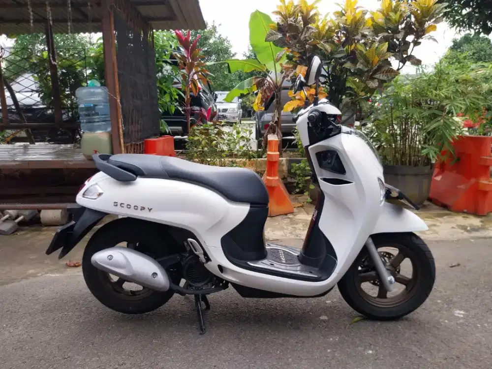 Honda Scoopy Low Km Gress