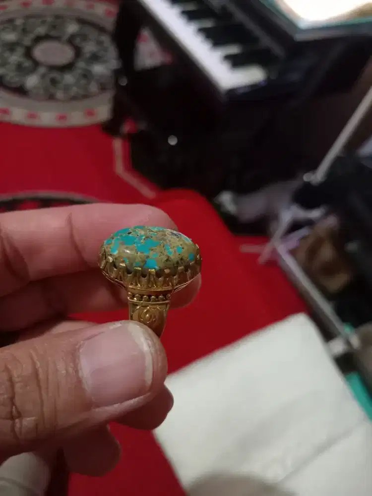 Pirus persia urat emas