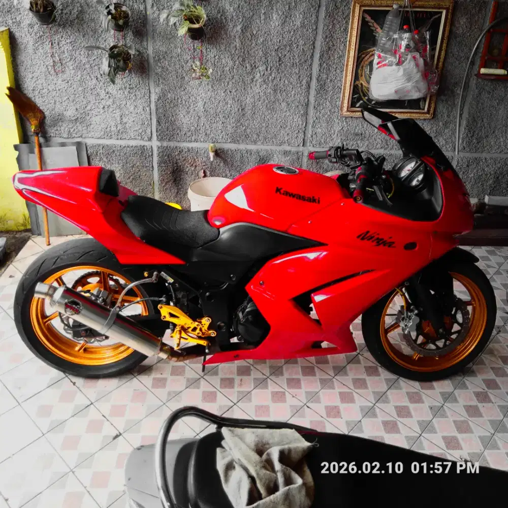 Ninja 250cc - 2012 karbu