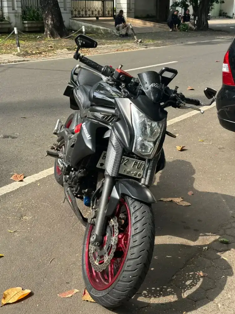 Kawasaki 650 ER6/ER6N with scorpio