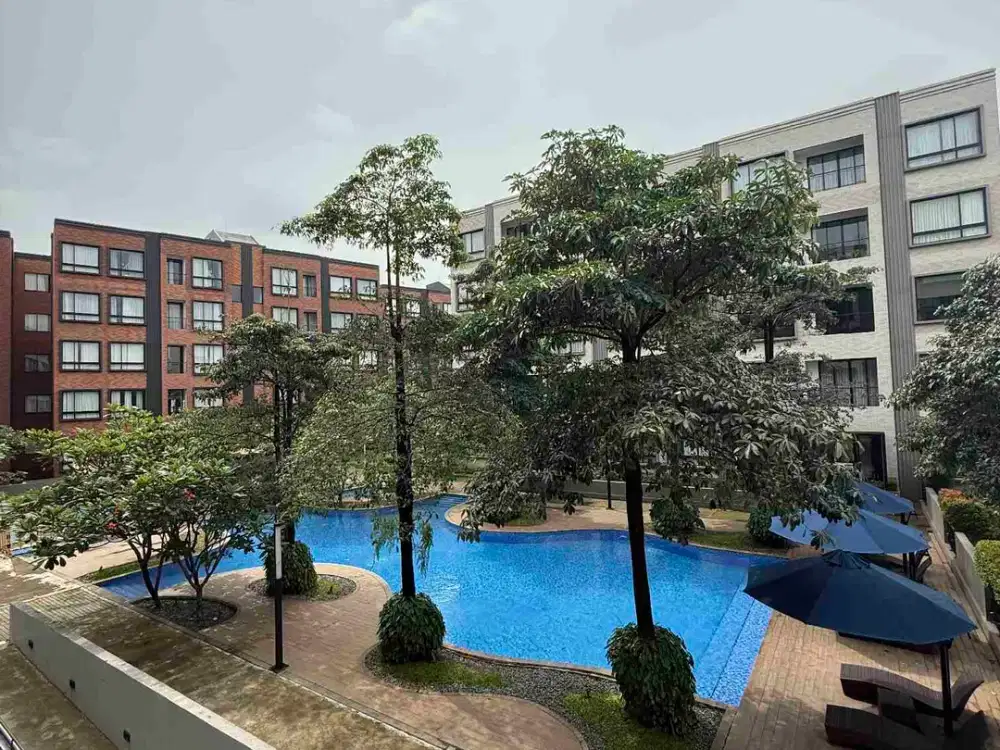 Apartemen Mewah View Pool Dijual Murah Full Furnished Bisa Nego Sampai Deal
