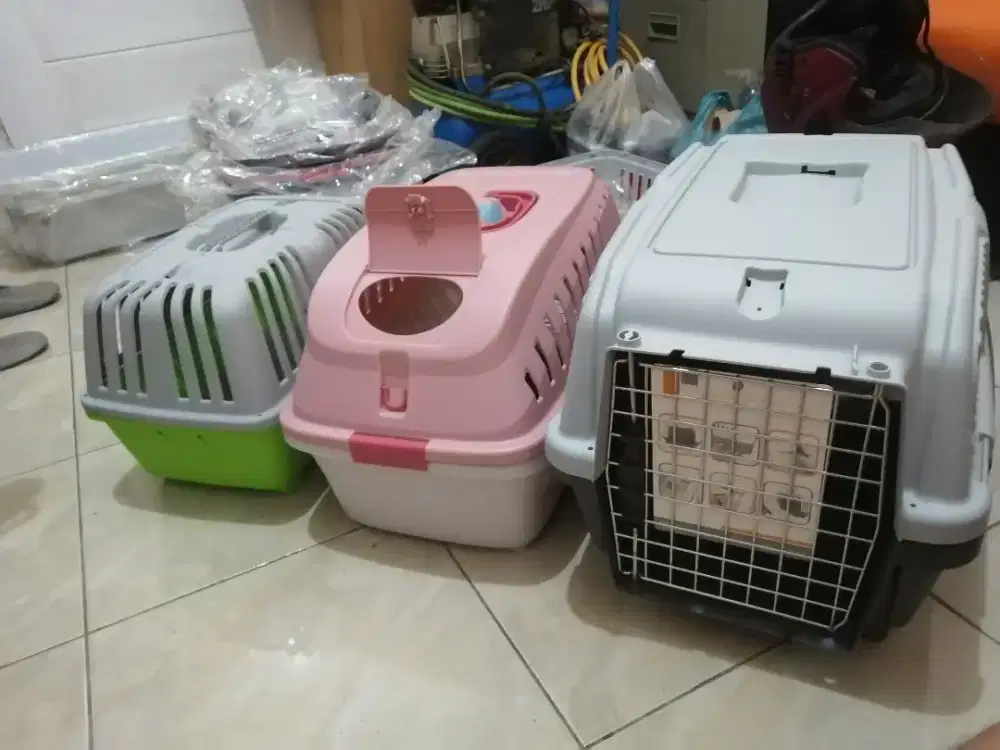 Pet kargo kucing/anjing