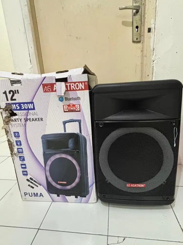 Speaker asatron 12inc