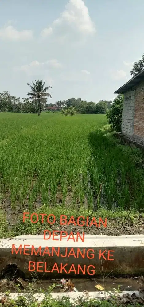 DIJUAL SAWAH MURAH LOKASI STRATEGIS