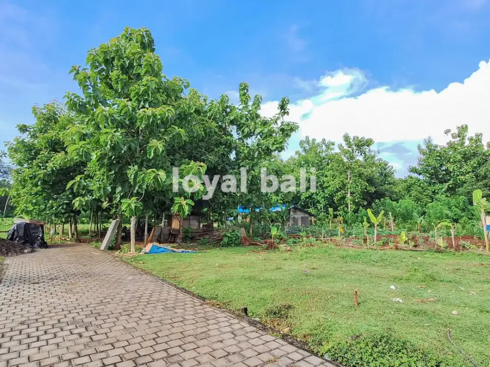 Plot Ready to Build in Beautiful Environment in Kutuh, Bali