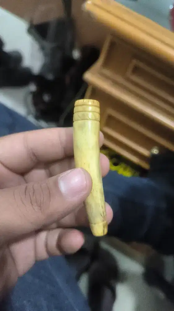 Uncu rokok gigi g*jah asli