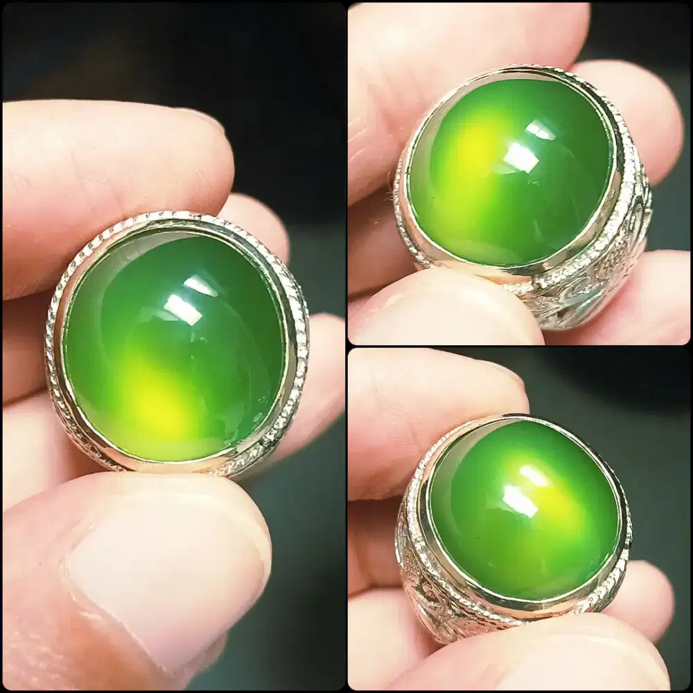 Green Serpentine Pakistan HQ