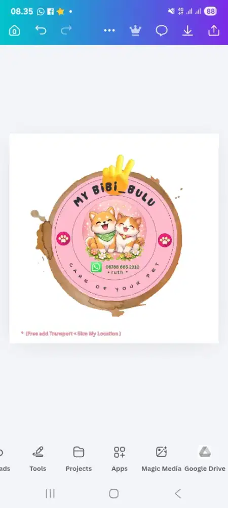 Jasa pet sitter [ freelance ]