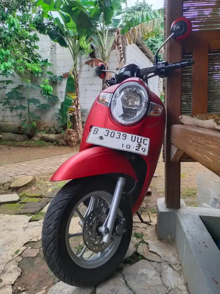 Scoopy ECO 2019 PJK ON