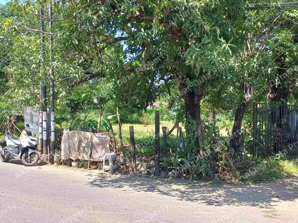 TANAH UNTUK GUDANG JL IR SUTAMI PARANGLOE