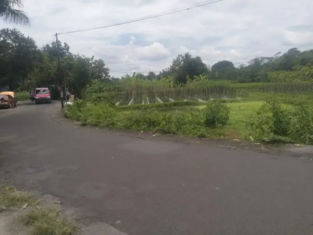 Djual Tanah Sawah Di Pasar Ikan Burikan Sumberadi Mlati Sleman