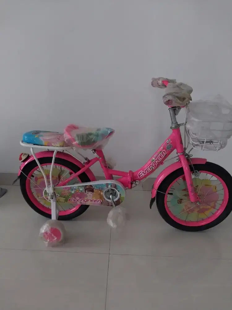 Sepeda Anak Baru Mini Evergreen 16 inch